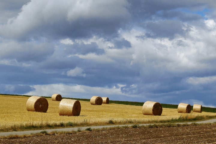 summer, sommer, natur, Jahreszeiten, 4seasons, Frühling, sommer, herbst, winter, fotohaefeli